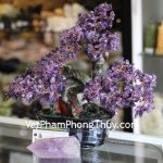 kc079-cay-tai-loc-goc-dep-trung-thach-anh-tim-2