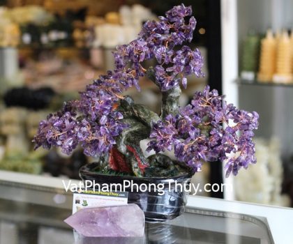 kc079-cay-tai-loc-goc-dep-trung-thach-anh-tim-2