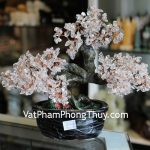 kc080-cay-tai-loc-goc-dep-trung-thach-anh-trang