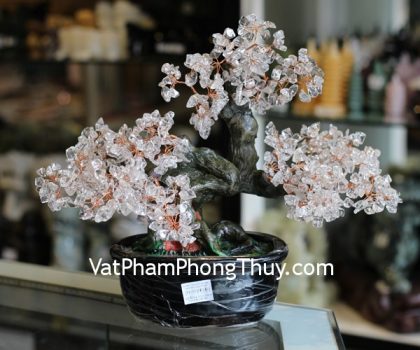 kc080-cay-tai-loc-goc-dep-trung-thach-anh-trang