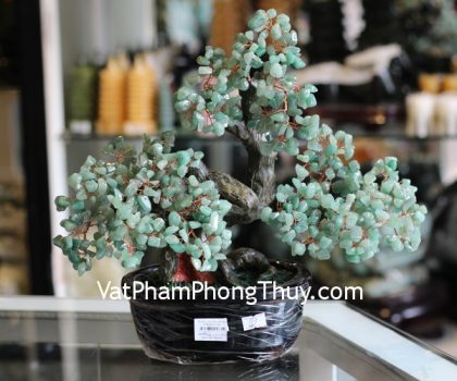 kc081-cay-tai-loc-goc-dep-trung-thach-anh-dong-linh