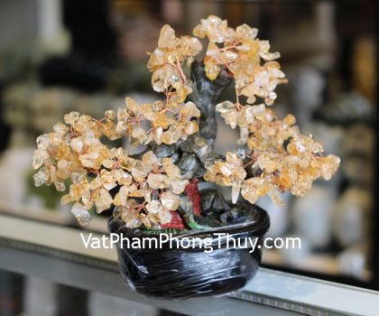 kc082-cay-tai-loc-hoi-nho-da-thach-anh-vang-1