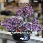 kc084-cay-tai-loc-hoi-nho-da-thach-anh-tim