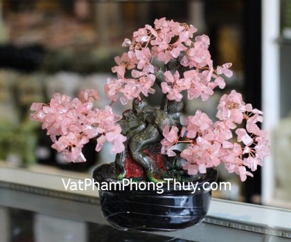 kc085-cay-tai-loc-hoi-nho-da-thach-anh-hong