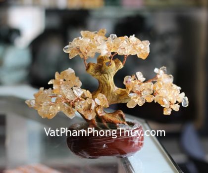 kc088-cay-hoc-dep-nho-thach-anh-vang