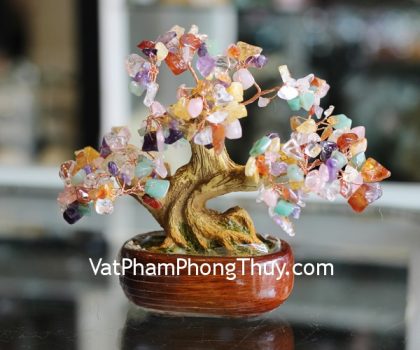 kc089-cay-hoc-dep-nho-thach-anh-nhieu-mau