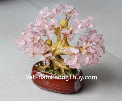 kc090-cay-hoc-dep-nho-thach-anh-hong-2