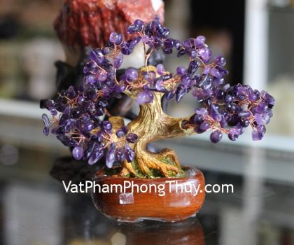 kc091-cay-hoc-dep-nho-thach-anh-tim