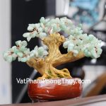 kc092-cay-hoc-dep-nho-thach-anh-dong-linh-2