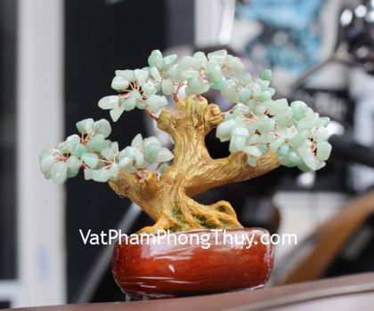 kc092-cay-hoc-dep-nho-thach-anh-dong-linh-2