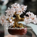 kc093-cay-hoc-dep-nho-thach-anh-trang