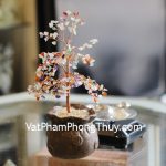 kc094-cay-tai-loc-tui-tien-nhieu-mau-2