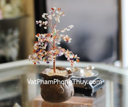 kc094-cay-tai-loc-tui-tien-nhieu-mau-2