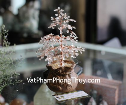 kc096-cay-tai-loc-tui-tien-thach-anh-trang-2