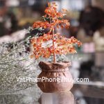 kc097-cay-tai-loc-tui-tien-da-ma-nao-1