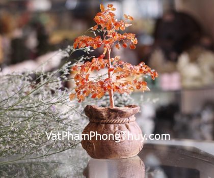 kc097-cay-tai-loc-tui-tien-da-ma-nao-1