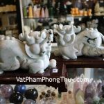 nd110-ty-huu-ngoc-phi-thuy-4