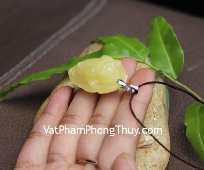 s6351-3-mat-coc-ho-phach-2