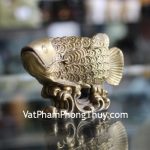 d165-ca-kim-long-dong-1 (1)