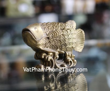 d165-ca-kim-long-dong-1 (1)