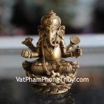 d263-phat-dau-voi (1)