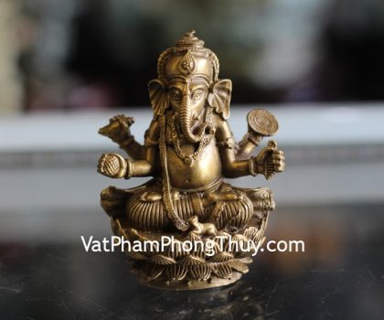 d263-phat-dau-voi (1)