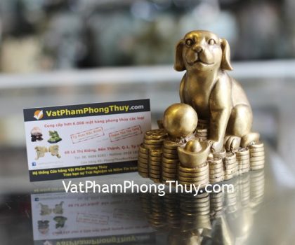 d272-cho-dong-size-lon