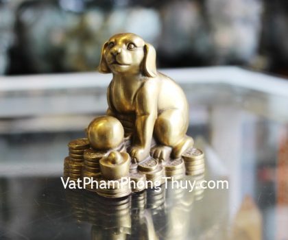 d275-cho-dong-size-trung