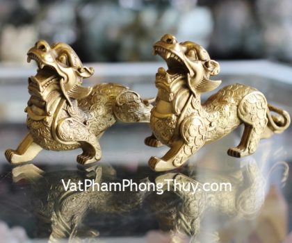 d277-ty-huu-dong-lung-dat-vang (1)