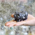 gm168-heo-da-van-nam-2