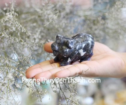 gm168-heo-da-van-nam-2