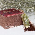 s5151-s3-2565-ty-huu-phi-thuy-1