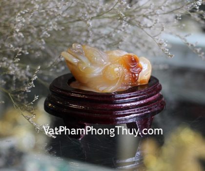 TT-NT-2015-coc-ngoc-tuy