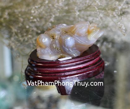 TT-NT-2748-coc-ngoc-tuy-1