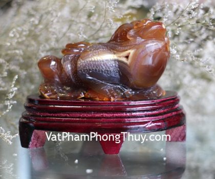 TT-NT-5456-coc-ngoc-tuy-2