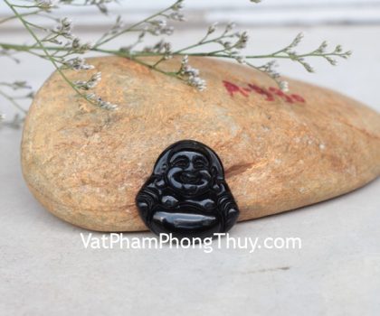 s6494-di-lac-hac-nga