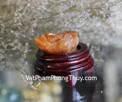 TT-NT-1682-coc-ngoc-tuy-2