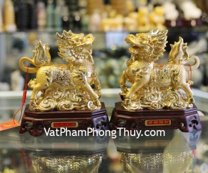 h458g-cap-ky-lan-vang-2