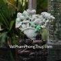 ns174-tuong-hoa-mau-don-ngoc-phi-thuy-38