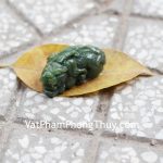 s5011-s3-8570-ty-huu-ngoc-bich