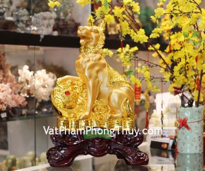 c006a-cho-san-vang-nhu-y