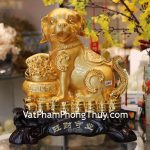 c007a-cho-vang-tu-bao