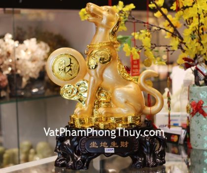 c008a-cho-vang-om-trang