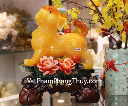 c014a-cho-cam-mau-don