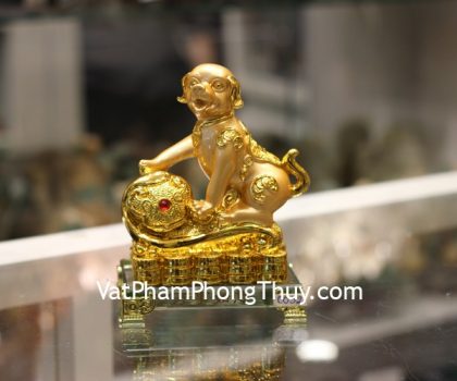 c032a-cho-vang-nhu-y-de-thuy-tinh