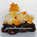 c041a-ty-huu-vang-cam-2