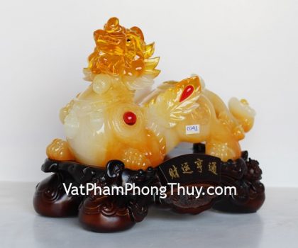 c041a-ty-huu-vang-cam-2