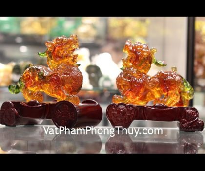 c048a-ty-huu-luu-ly-ngu-sac-1