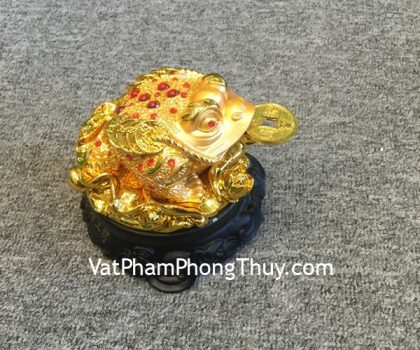 c064a-coc-vang-tren-la-sen-vang-2