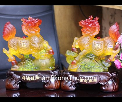 c081a-cap-ky-lan-luu-ly